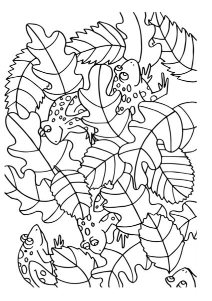 Осенние задания для дошкольников