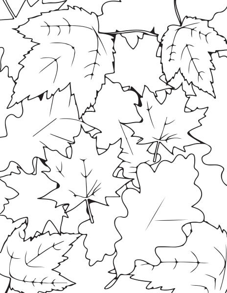 Раскраска осенний ковер из листьев