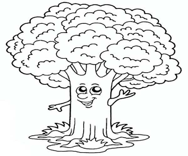 Дуб раскраска