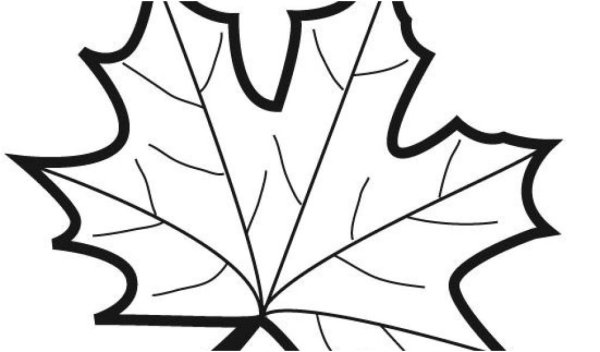 Лист клена раскраска
