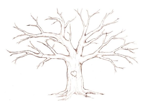 Ствол дерева с ветками