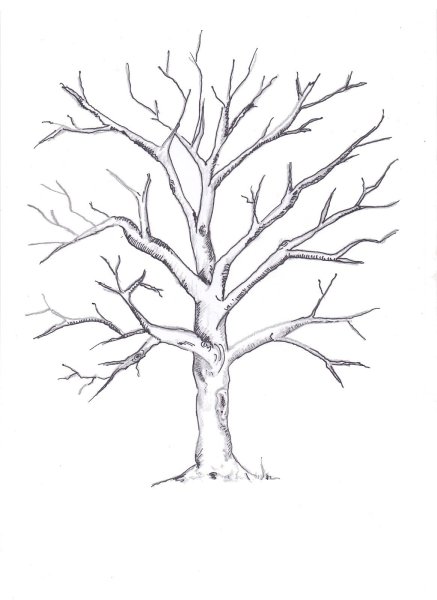 Дерево для отпечатков