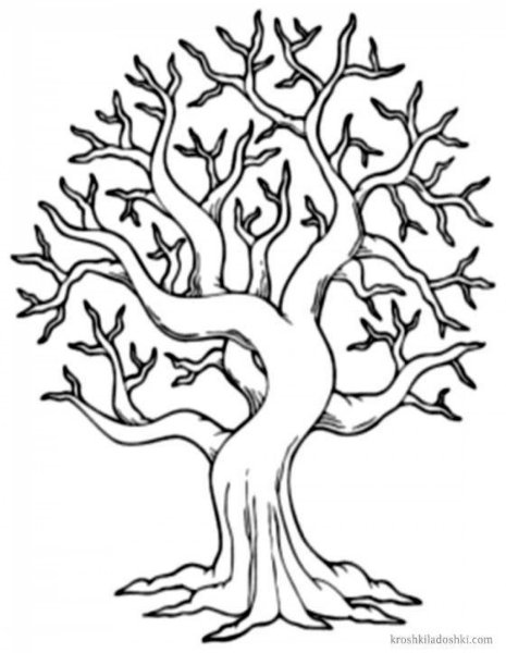 Раскраска дерево без листвы для детей