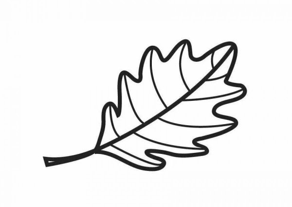 Лист дуба раскраска