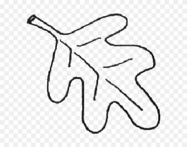 Дубовый лист раскраска