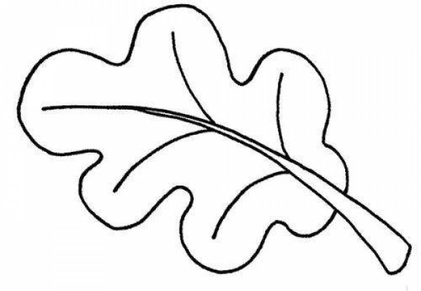 Лист дуба раскраска для детей