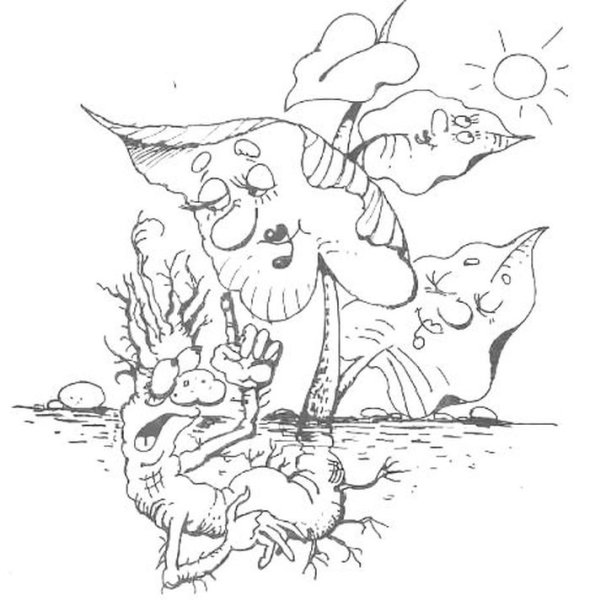 Листы и корни басня Крылова