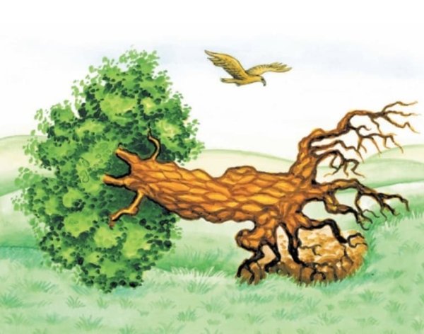 Басня Крылова дерево