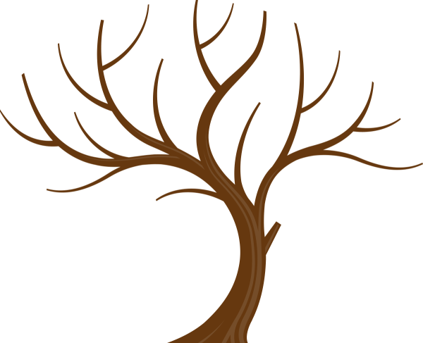 Дерево без листвы