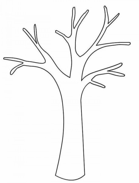 Дерево контур