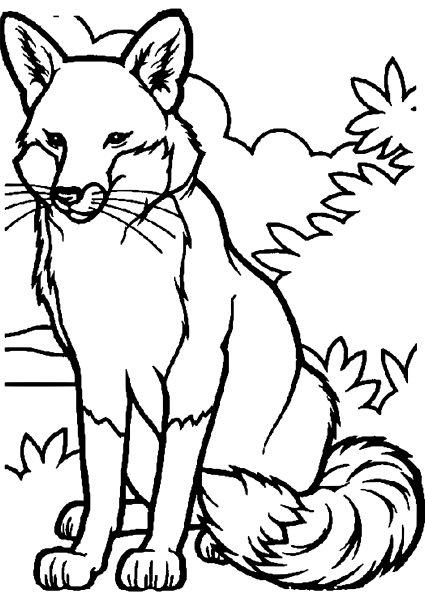 Раскраска лисы