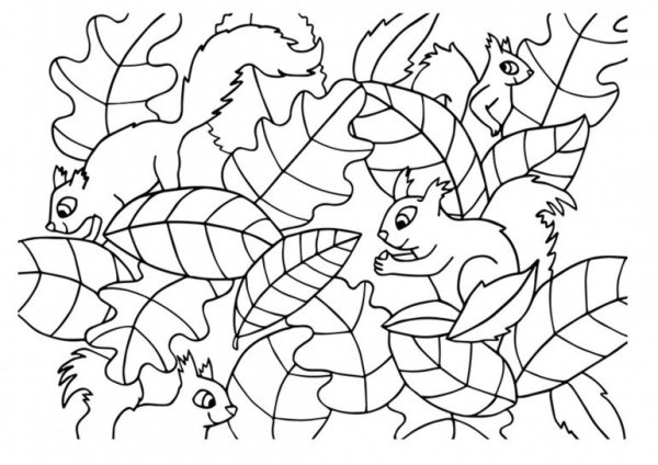 Найди животных на картинке и раскрась