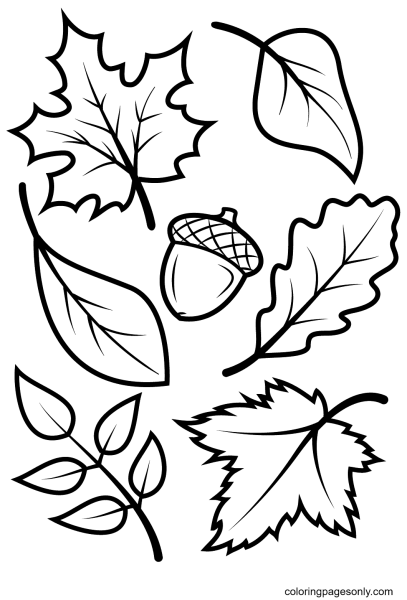 Трафареты осенних листьев