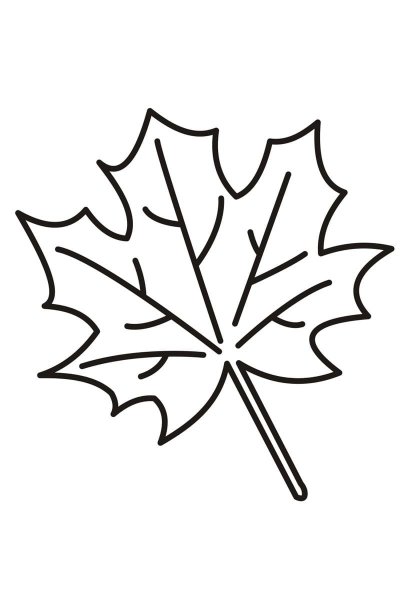 Листья раскраска