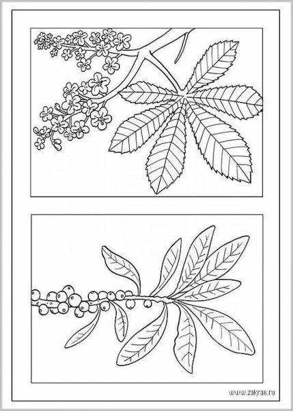 Рисунки на а4 листе для детей