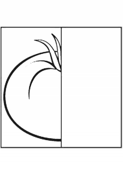 Дорисуй половинку