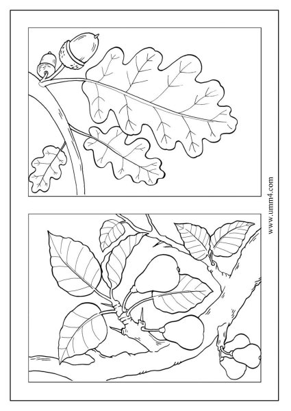 Раскраски две на одном листе