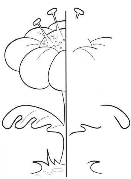 Дорисуй цветок