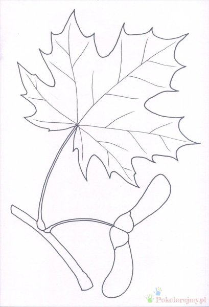 Рисунки осенних листьев карандашом для детей