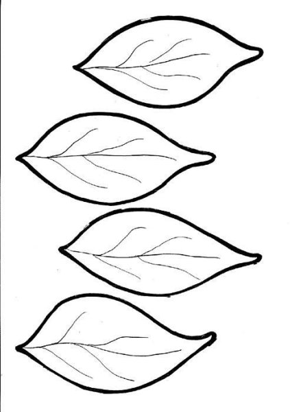 Трафарет листочка для цветка