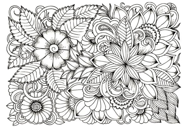 Раскраска антистресс "цветы"