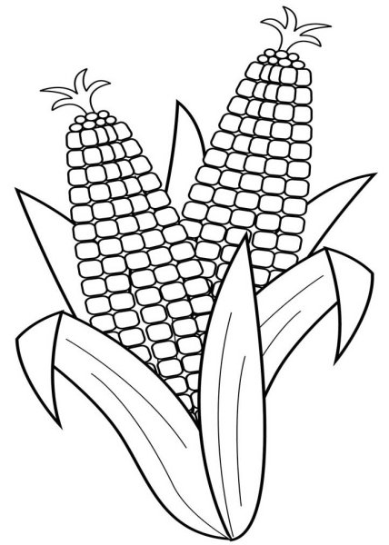 Кукуруза раскраска