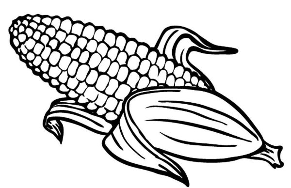 Кукуруза раскраска для детей