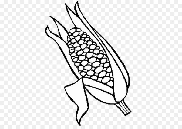 Кукуруза раскраска для детей