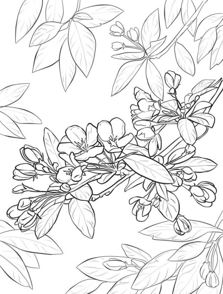 Весенние картинки для раскрашивания