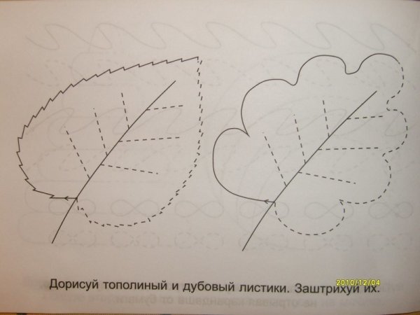 Штриховка листики