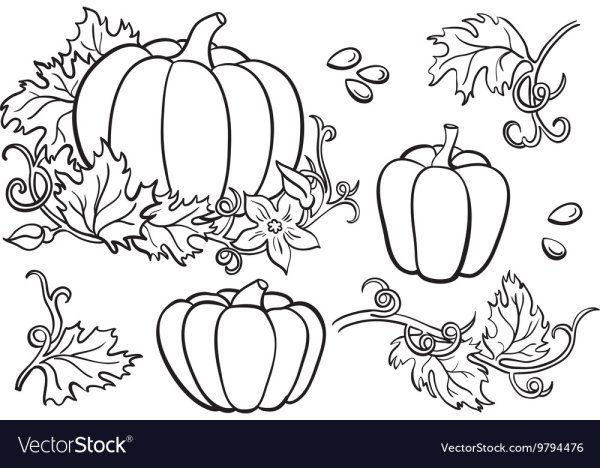 Лист тыквы раскраска