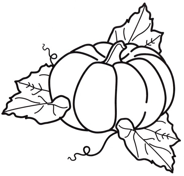 Тыква раскраска