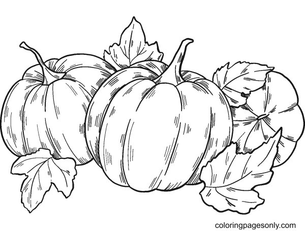 Лист тыквы раскраска