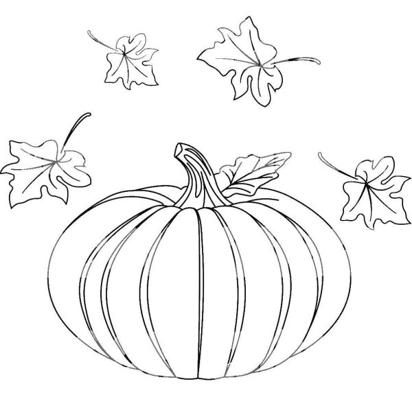Тыква и осенние листья для раскрашивания для детей