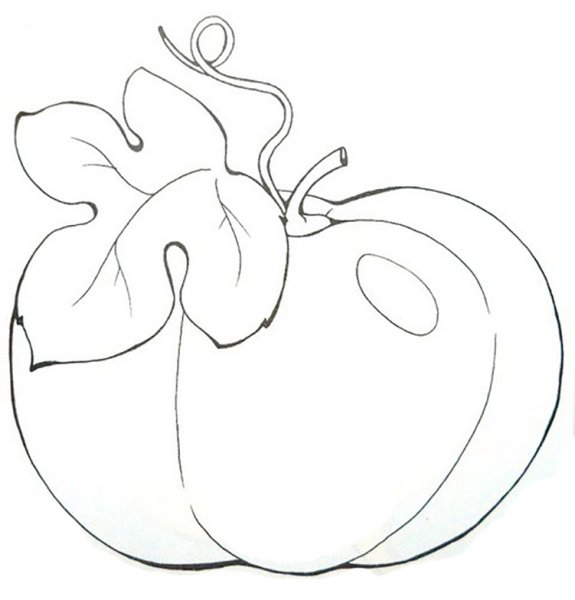 Лист тыквы раскраска