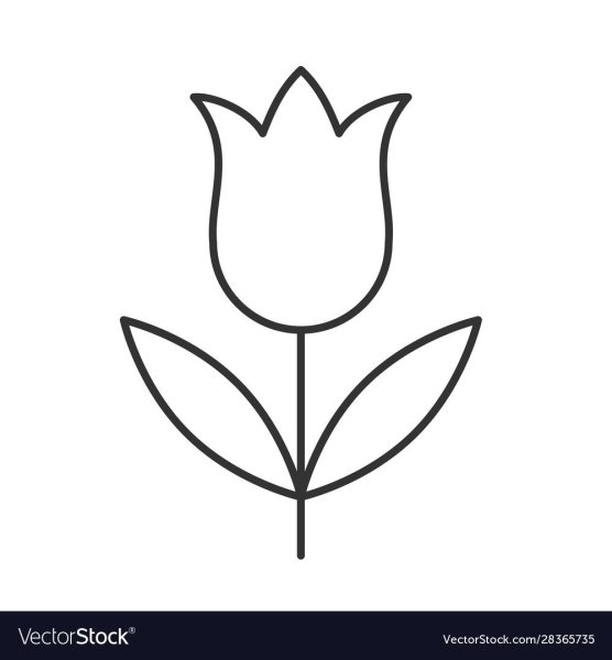 Силуэт бутона тюльпана