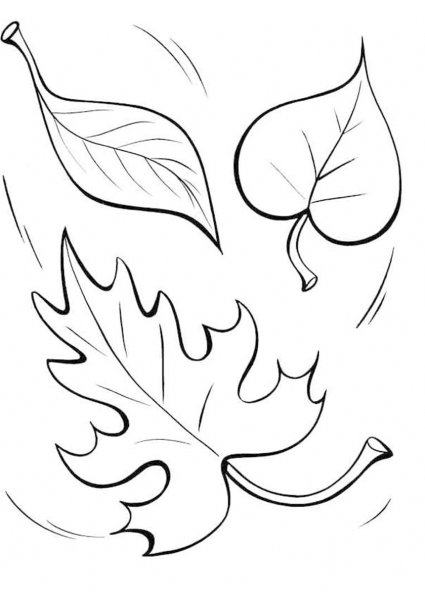 Листья рисунок