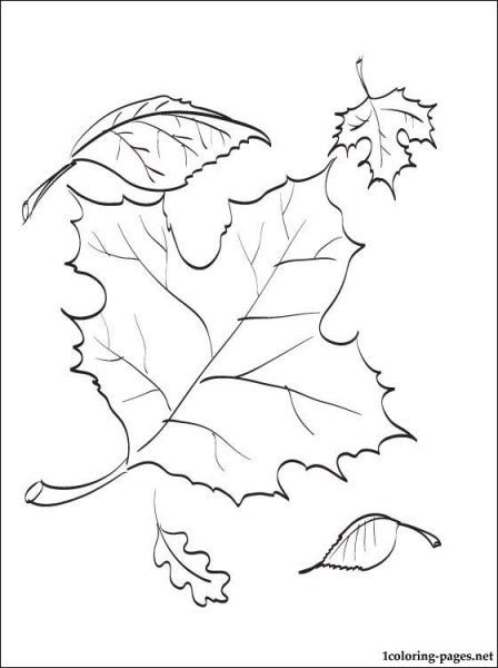 Рисунок на тему осень контур