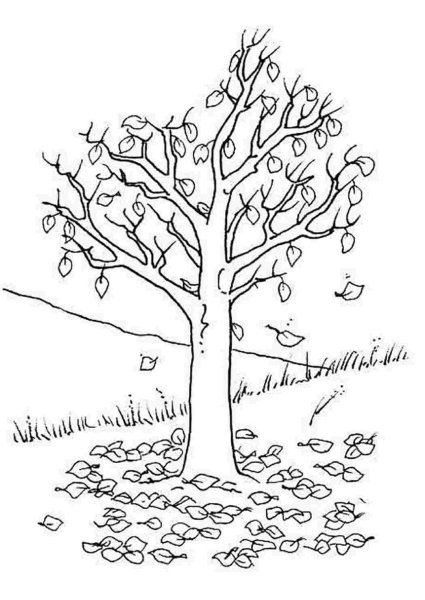 Осеннее дерево раскраска