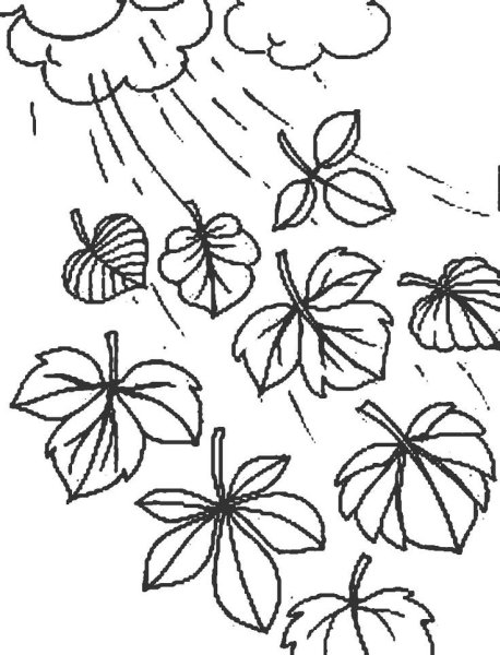 Листопад раскраска для детей