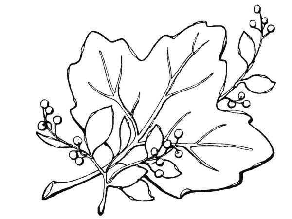 Осенний букет раскраска