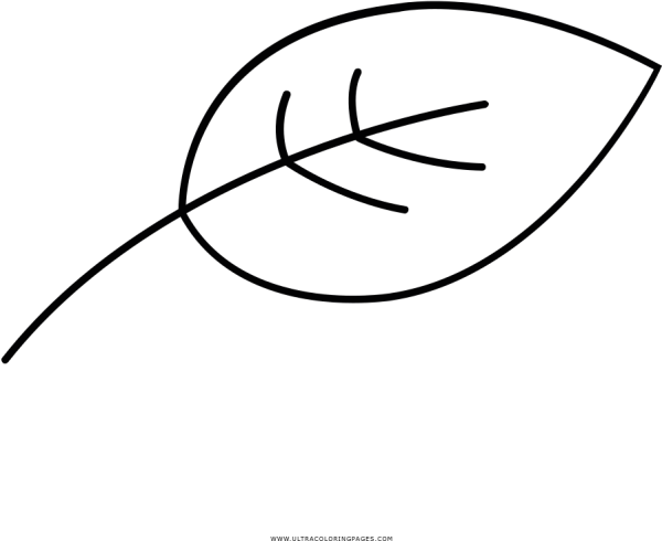 Листочки чб