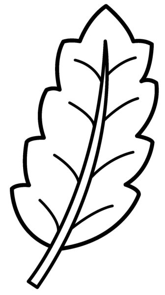 Листья для раскрашивания