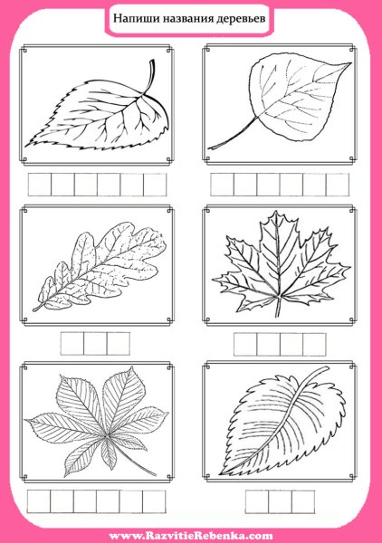 Задания листья деревьев для детей