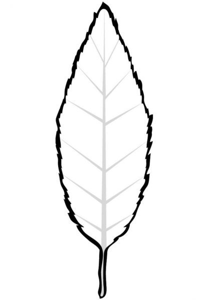 Листик раскраска