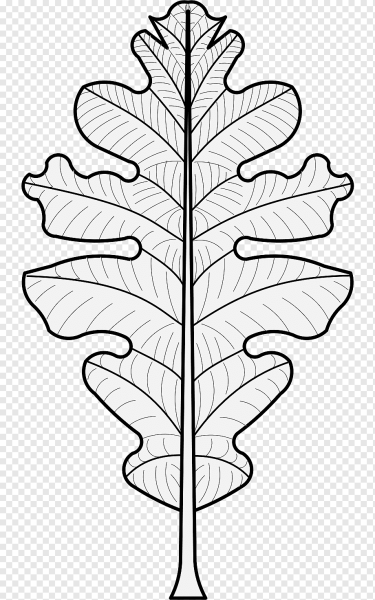 Дубовый лист трафарет