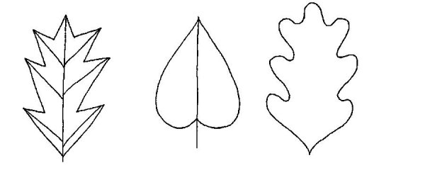 Симметричный лист дерева