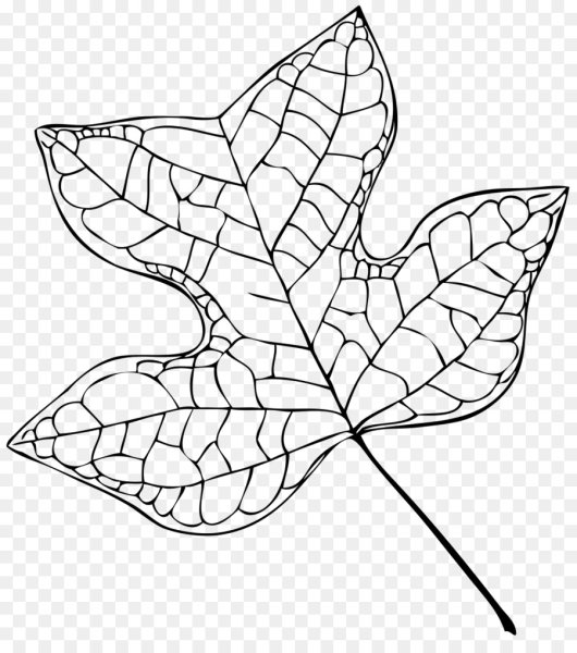 Листья рисунок