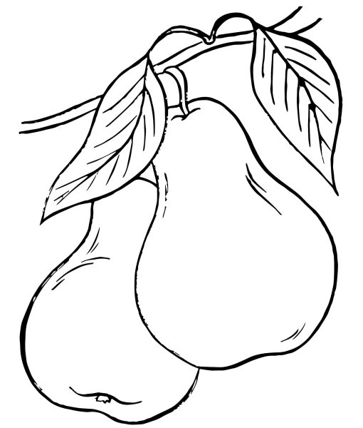 Фрукты раскраска для детей