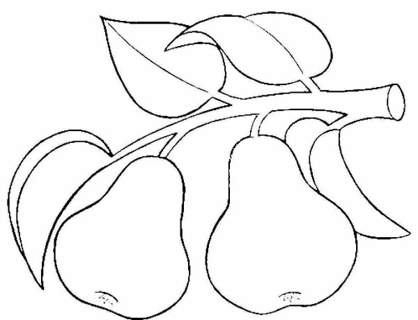 Трафареты фруктов для рисования